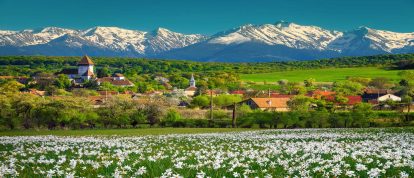 Hosman, Transilvania, Rumanía - Campings en Rumanía
