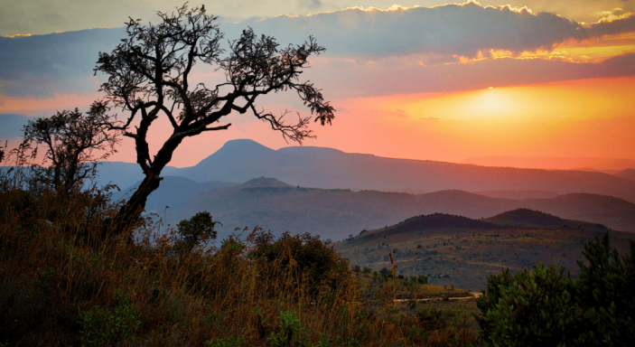 Sonnenuntergang über der Savanne in Südafrika, im Vordergrund ein Baum