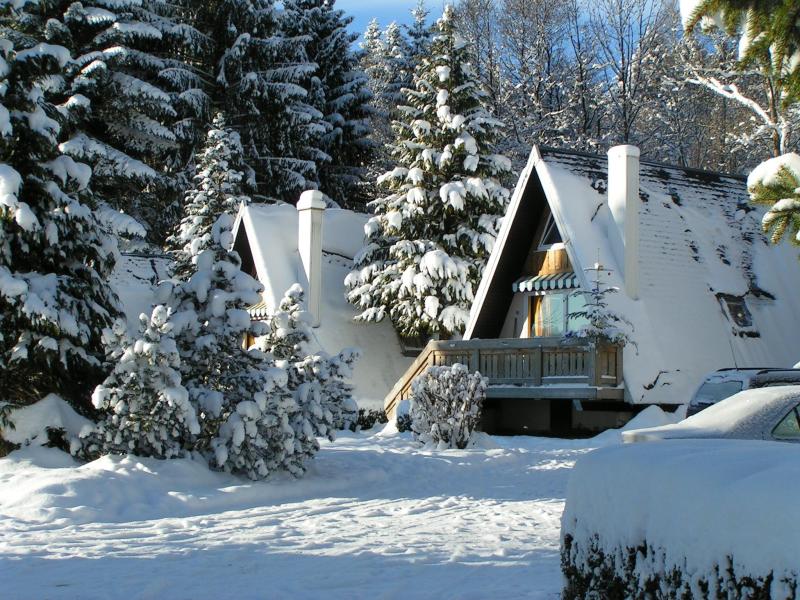 Campsite in Le Tholy - Chalets in the snow. 