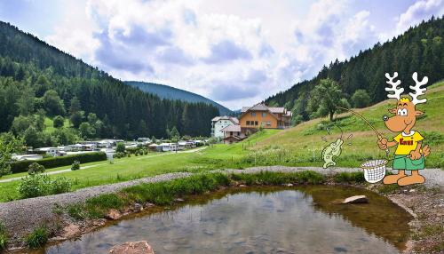 campsite in the Black Forest, Germany. Lake with fir tree forest.