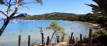 Ile de Porquerolles, Plage Notre-Dame - Campings en Var
