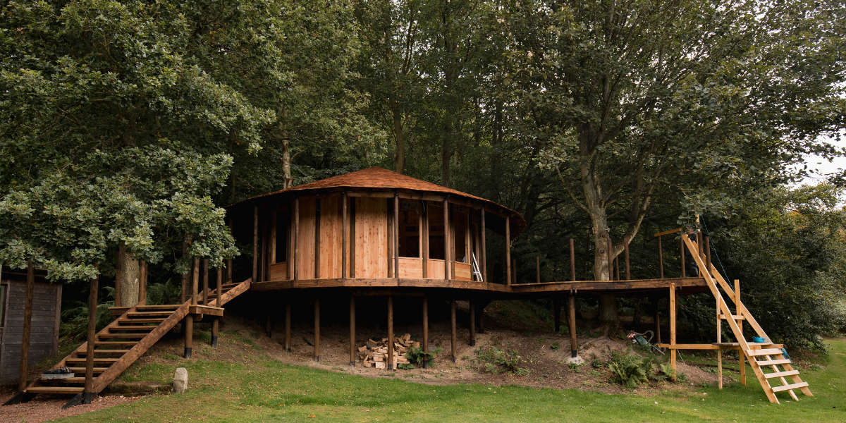 Cabane en bois perchée dans un arbre dans la verdure