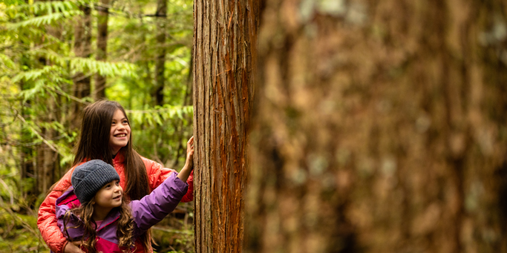 sisters in nature - forest bathing. Camping in nature