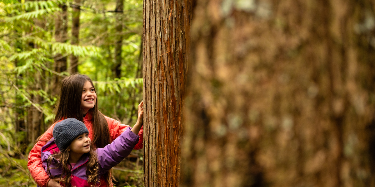 Zwei Mädchen berühren einen Baum im Wald, fröhlich lächelnd