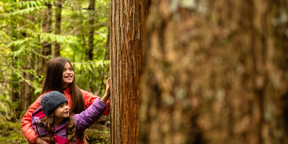 deux fillettes touchant un tronc d'arbre dans un cambing écolo