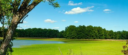 Estanque de Dombes en departamento de Ain, Francia - Campings en Bourg-en-Bresse