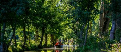 Paseo en barco por la Venecia verde del Marais Poitevin - Campings en Deux-Sèvres