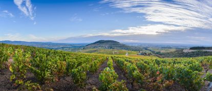 Mont Brouilly, Beaujolais, Ródano, Auvernia Ródano-Alpes, Francia - Campings en Ródano
