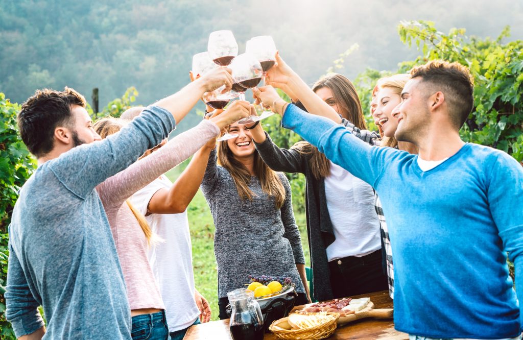 Amigos levantando uma taça de vinho em um vinhedo italiano em férias vinícolas na Itália