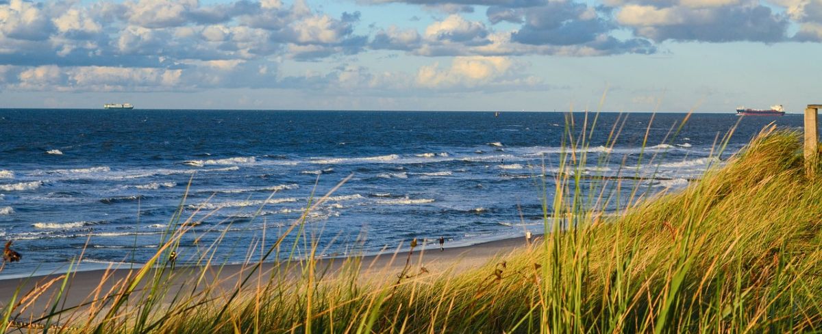 Wilde Ostsee mit Blick auf den Horizont, Deutschland