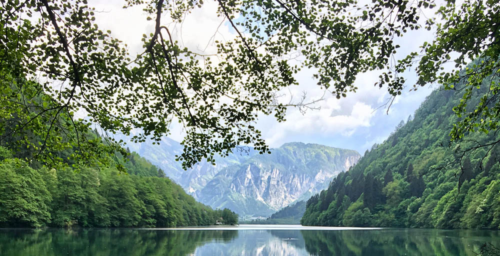 Blick auf die Berge in Trentino, im Vordergrund der See und der Ast eines Baumes