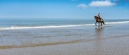 Paard en ruiter draven langs de kust op een mooie dag - Campings in Lorient