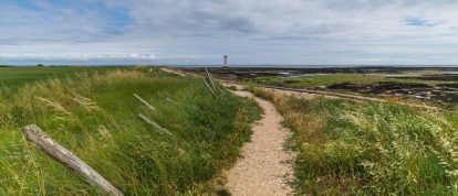 Scenic path to the sea - Campsites in Damgan