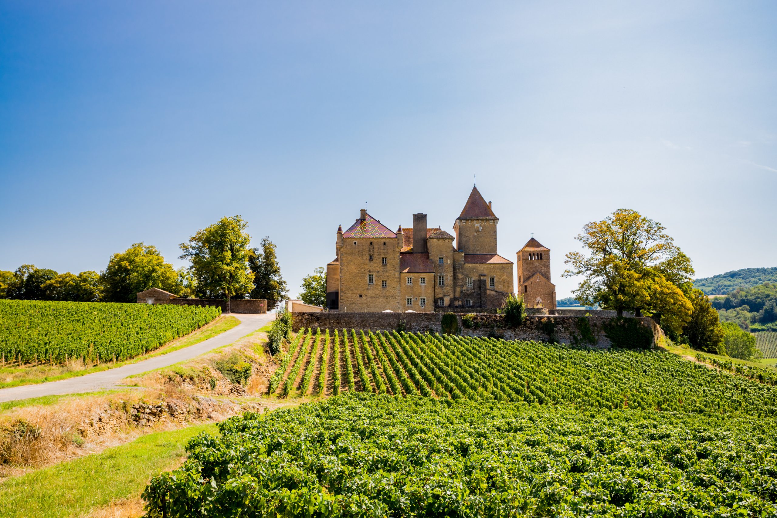 Châtreau de Pierreclos en Bourgogne