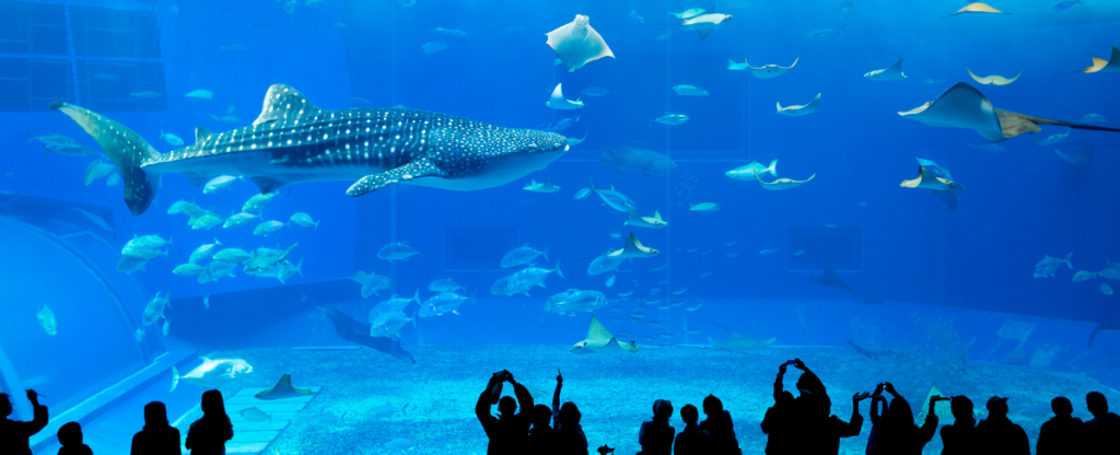 Oceanopolis aquarium in Brittany, France