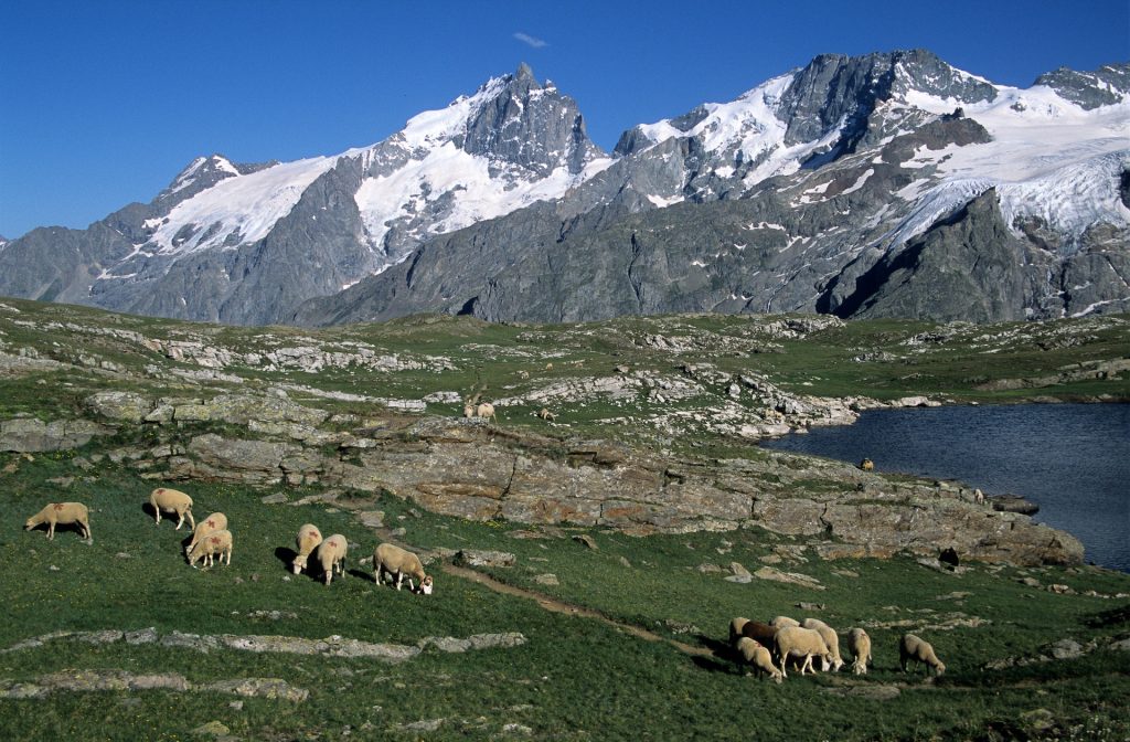 meilleures randonnées au sein du Parc national des Écrins