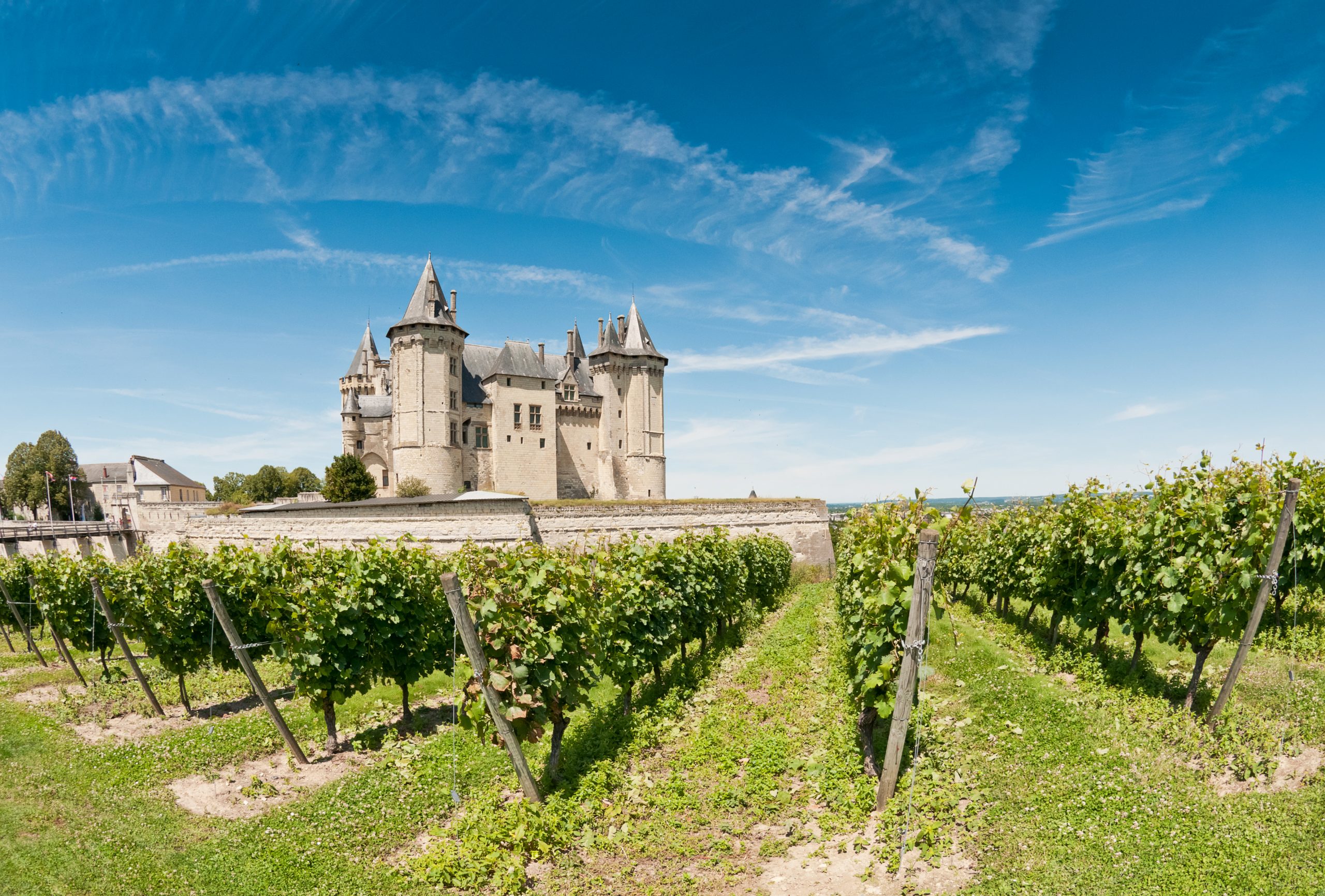 Oenotourisme au Chateau de Saumur en Val de Loire
