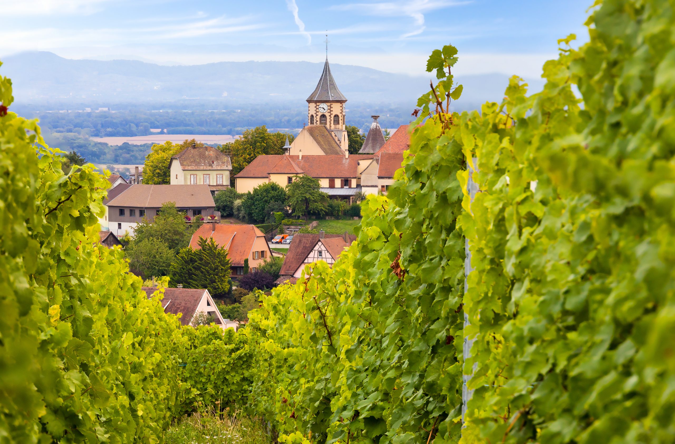 Route des vins en Alsace