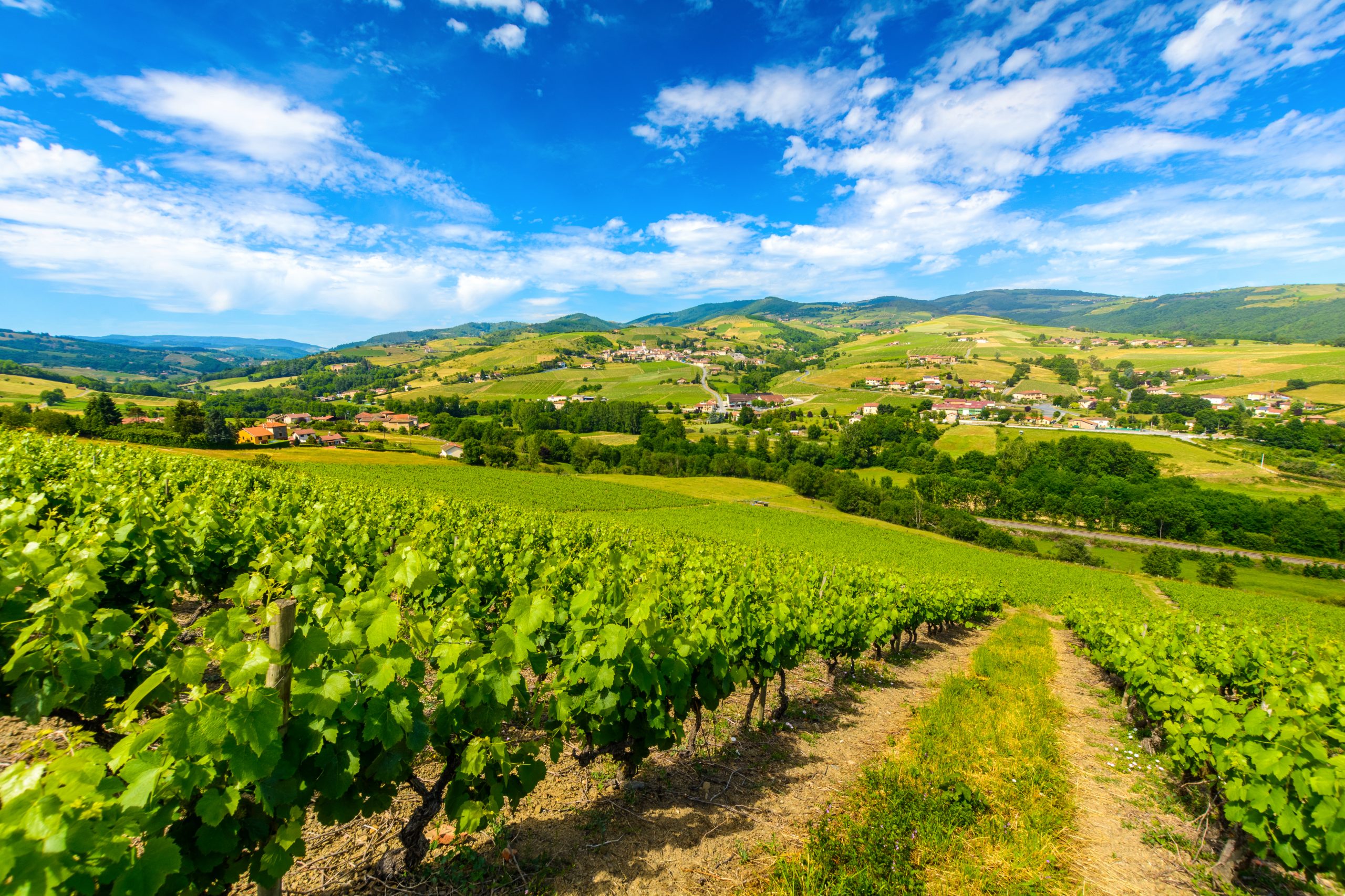 Route des grands crus de Bourgogne - Village de Ternand