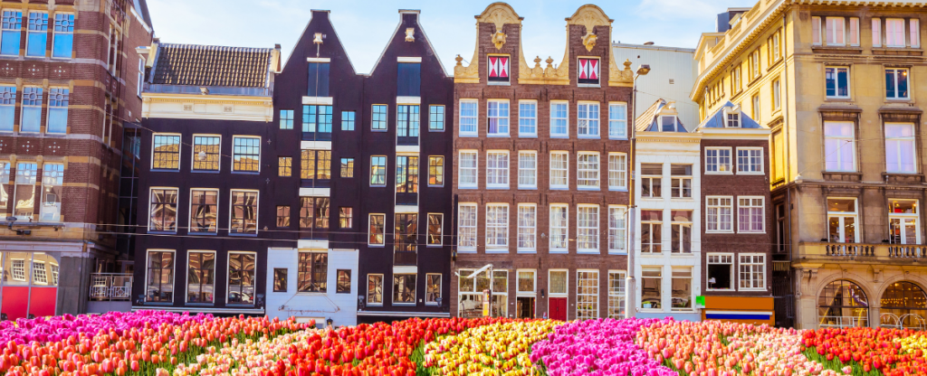 Easter flowers in bloom in Amsterdam