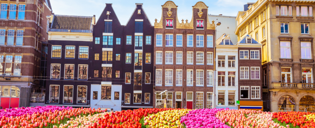 Fiori pasquali in fiore ad Amsterdam