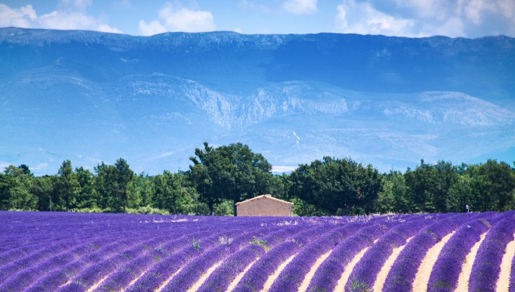 Randonnée en France : Valensole