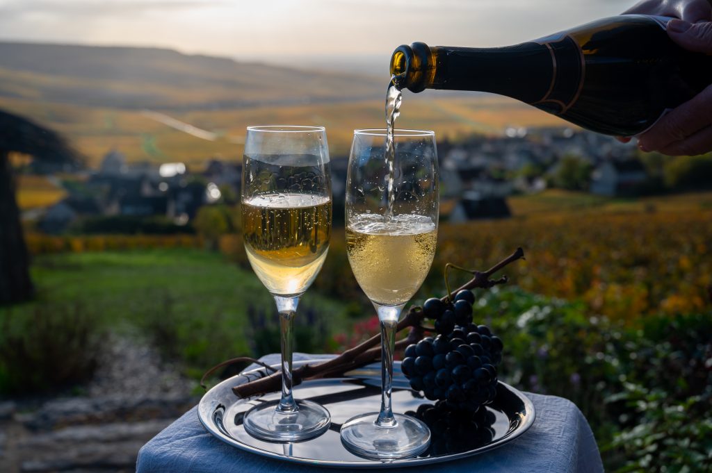 Tasting champagne on a wine holiday in France