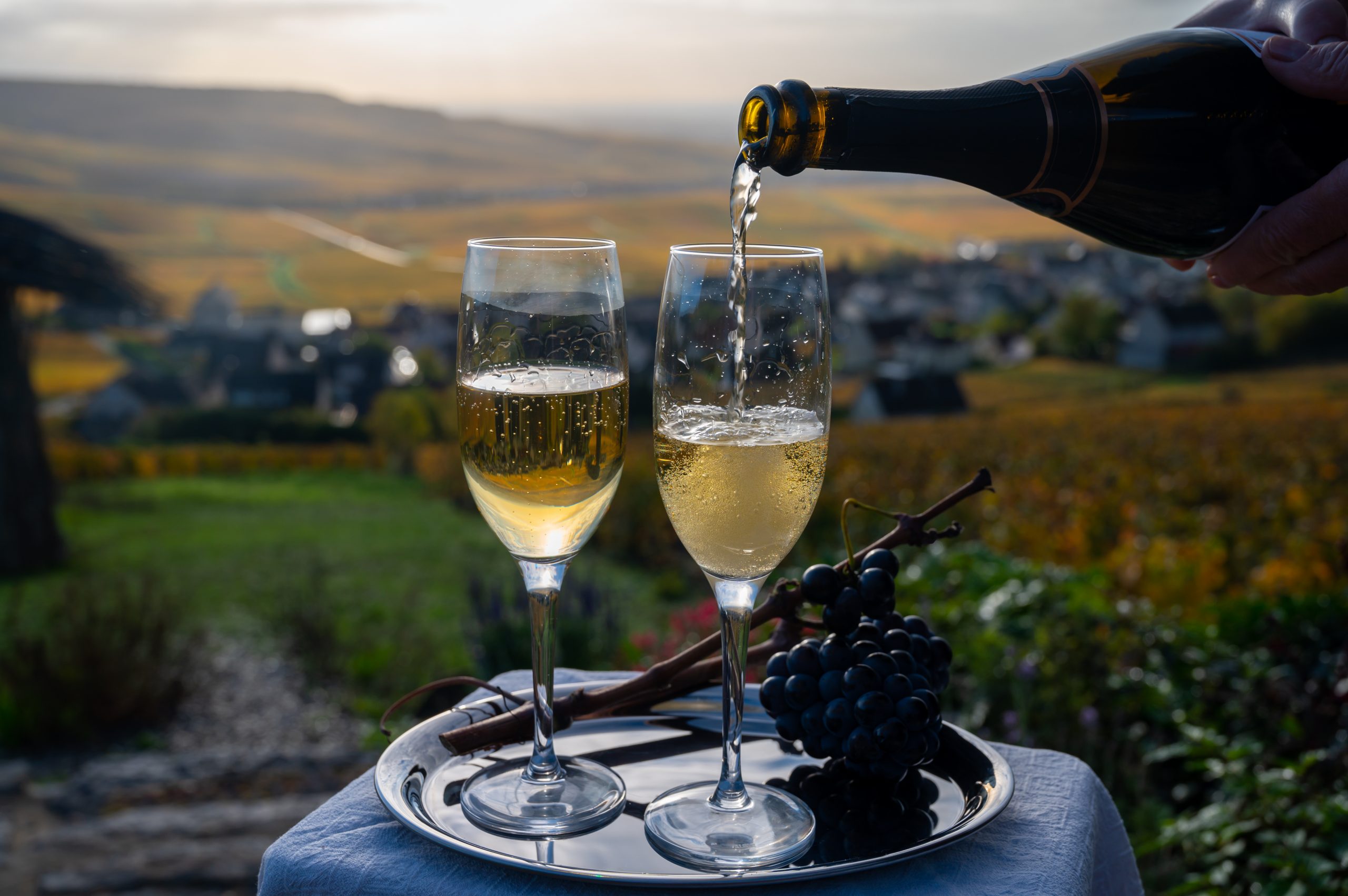 Dégustation de champagne avec un village en arriere-plan